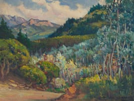 Hugo Naudé; Silver Trees at Kirstenbosch, Cape