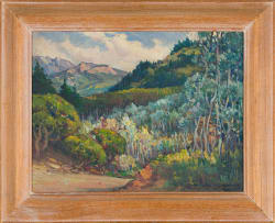 Hugo Naudé; Silver Trees at Kirstenbosch, Cape