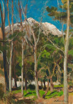 Robert Broadley; A View of a Mountain through Trees