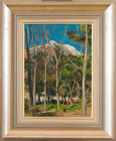 Robert Broadley; A View of a Mountain through Trees