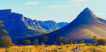 Andrew Cooper; Summer Dusk, Table Mountain