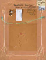 Amy Beatrice Hazell; Pincushions in a Pot (Leucospermum Plant)