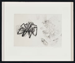 Diane Victor; Arachne and Athena, from Birth of a Nation series