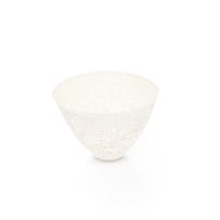 Various Artists; Wooden cabinet with glass shelves and fluorescent lights with 24 ceramic art pieces