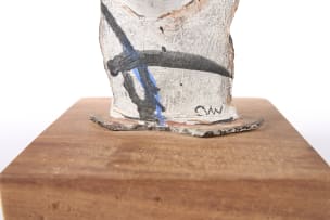 Clementina van der Walt; Head