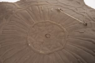 Christina Bryer; Black and white platter