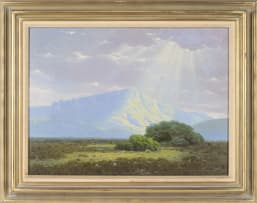 Jan Ernst Abraham Volschenk; Sunbeams (In The Langebergen, Riversdale)