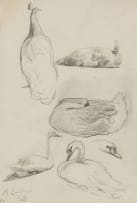 Maggie Laubser; Bird Studies, sketch