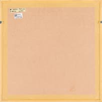 Lehlogonolo Mashaba; Branch Out