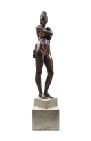 Anton Smit; In Moment Series, Leaf VI