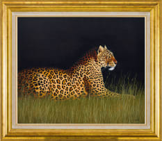 Michael Costello; Leopard