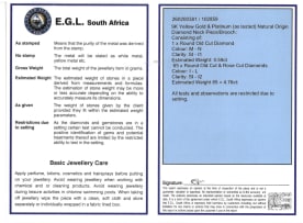 Victorian starburst necklace brooch