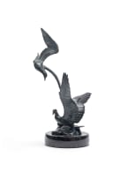 Llewellyn Davies; Seagulls