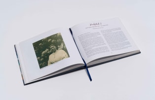 Muller Ballot; Maggie Laubser: 'n Venster op Altyd Lig