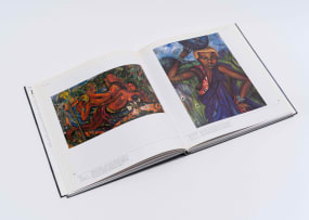 Marion Arnold; Irma Stern: 'n Fees van Kleur