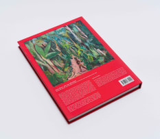 Sandra Klopper; Irma Stern by book Irma Stern: Are You Still Alive? Stern's Life and Art Seen Through Her Letters to Richard and Freda