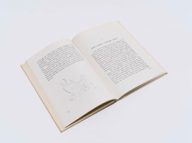 Joseph Sachs; Irma Stern and the Spirit of Africa