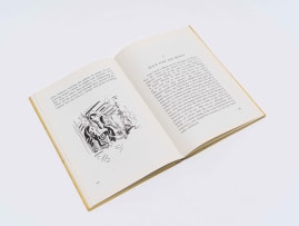 Joseph Sachs; Irma Stern and the Spirit of Africa