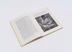 Joseph Sachs; Irma Stern and the Spirit of Africa