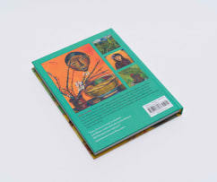 Sean O'Toole; Irma Stern African in Europe European in Africa