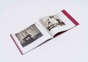 Tom Hickey (ed); Wiliam Kentridge, Fragile Identities