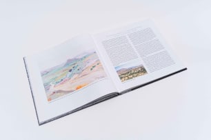 Jillian Carman and Susan Isaac (eds); Walter Battiss: Gentle Anarchist