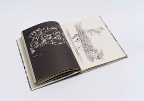 Walter Battiss; Limpopo