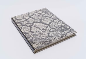 Walter Battiss; Limpopo