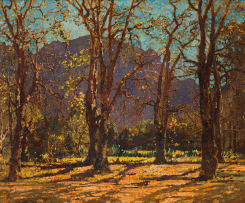 Robert Gwelo Goodman; From the Garden of Newlands House