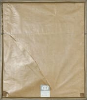 Robert Gwelo Goodman; Howick Falls