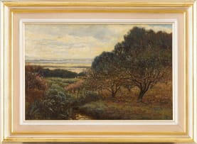 James Smith Morland; View from Groot Constantia
