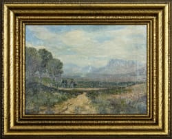 Edward Roworth; Landscape near Paarl