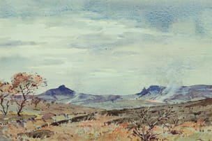 Nils Andersen; Extensive Landscape