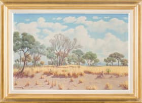 Willem Hermanus Coetzer; Bosveld N. Transvaal (Bushveld N. Transvaal)