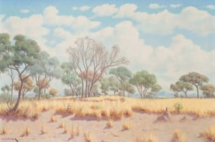 Willem Hermanus Coetzer; Bosveld N. Transvaal (Bushveld N. Transvaal)