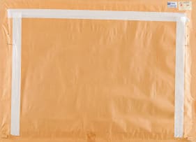 Willem Hermanus Coetzer; Bosveld N. Transvaal (Bushveld N. Transvaal)