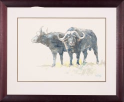 Zakkie Eloff; Buffalo