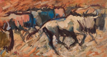 Hennie Niemann Jnr; Wildebees Migration