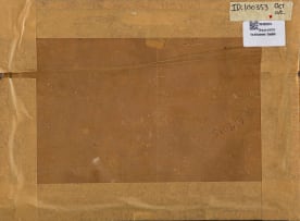 Alfred Neville Lewis; Flowers in a Tankard