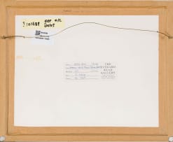 Leigh Voigt; 12 White Helmet Shrike