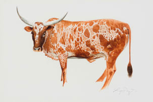 Leigh Voigt; 51 Stones of the Ngoye Forest