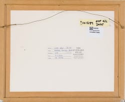 Leigh Voigt; 51 Stones of the Ngoye Forest