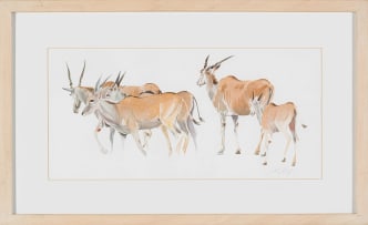 Leigh Voigt; Eland Cows