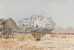 Adolph Jentsch; S. W. Africa