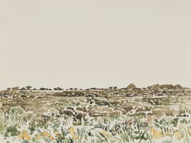 Adolph Jentsch; Sud West of Afrika