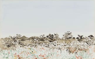 Adolph Jentsch; Sudwest Afrika