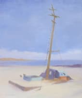 Maud Sumner; Namibian Coastal Landscape