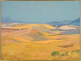 Piet van Heerden; Expansive Landscape