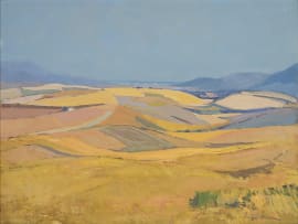 Piet van Heerden; Expansive Landscape