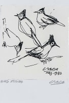 Peter Clarke; Bird Studies